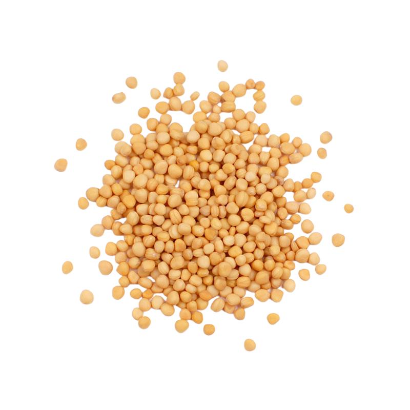 Yellow Mustard Seeds